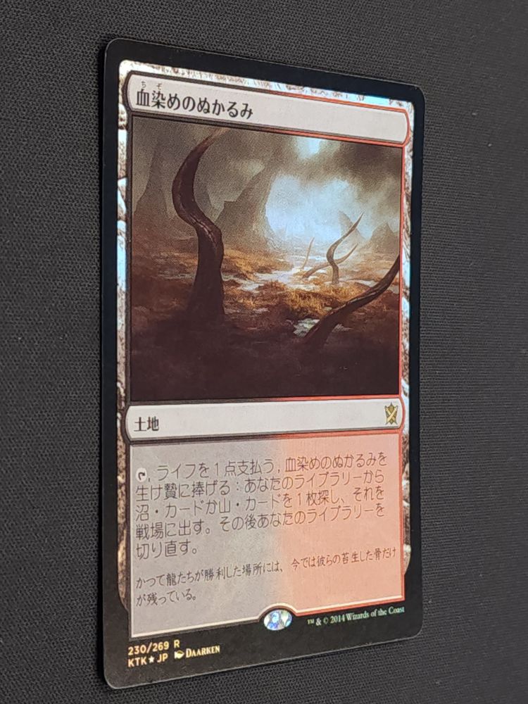 Bloodstained Mire - FOIL