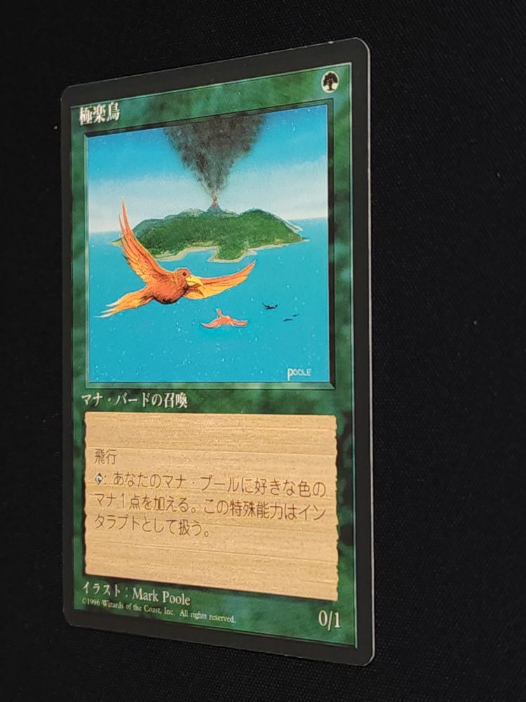 Birds of Paradise