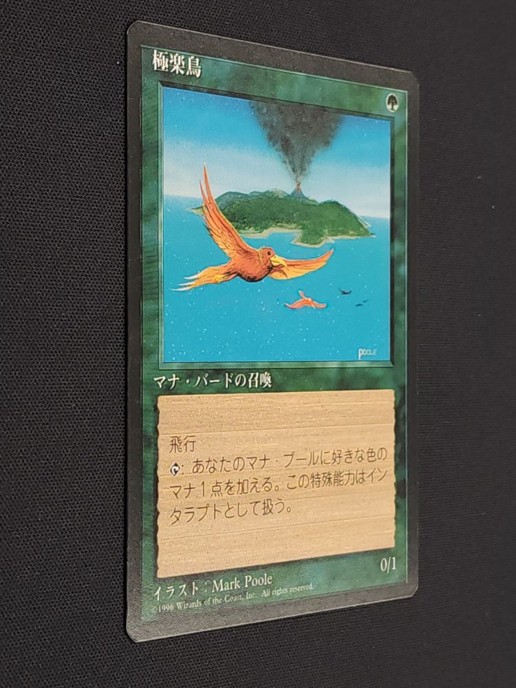 Birds of Paradise