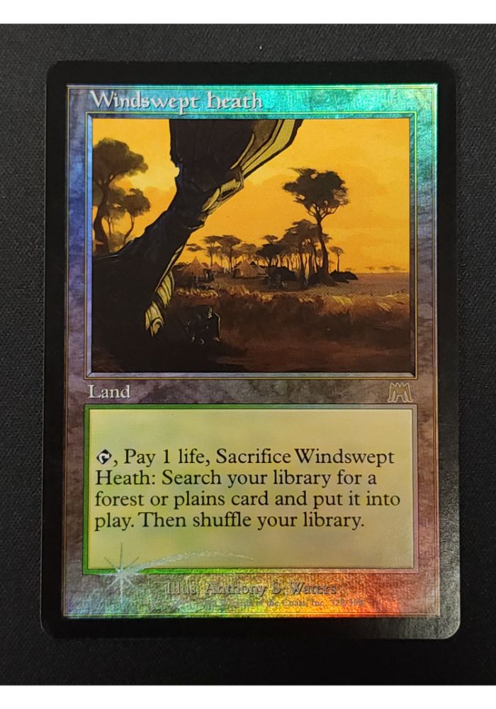 Windswept Heath