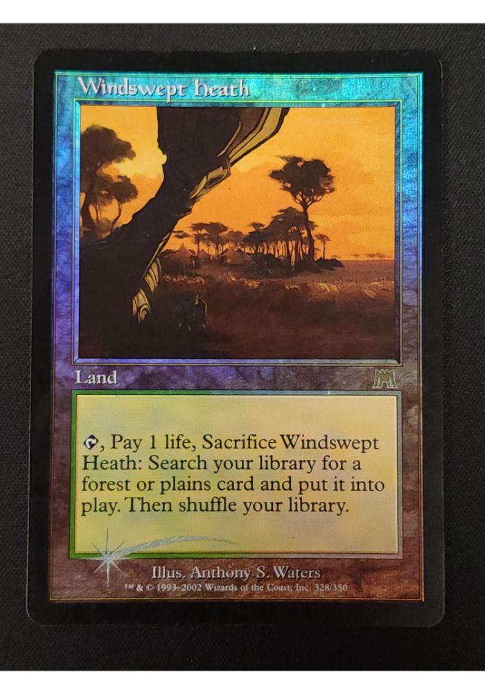 Windswept Heath