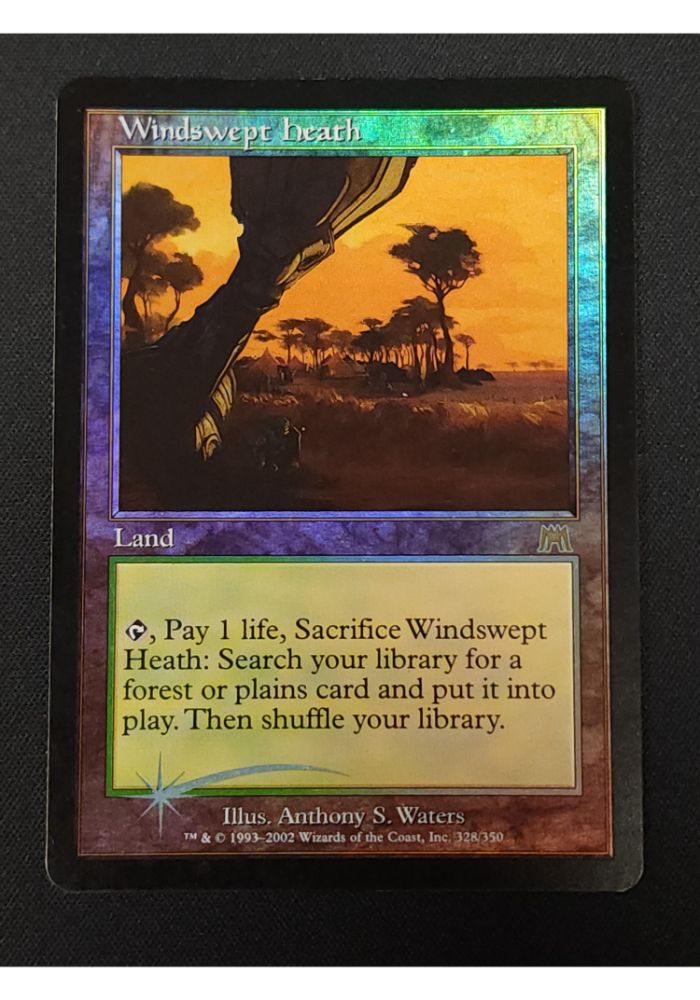 Windswept Heath
