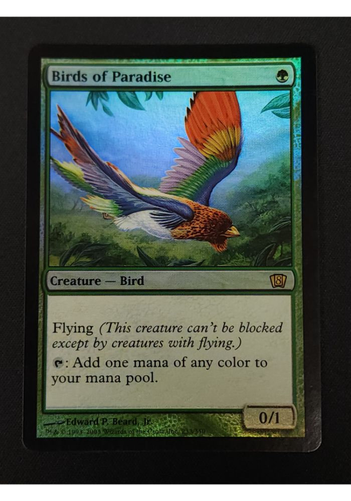Birds of Paradise