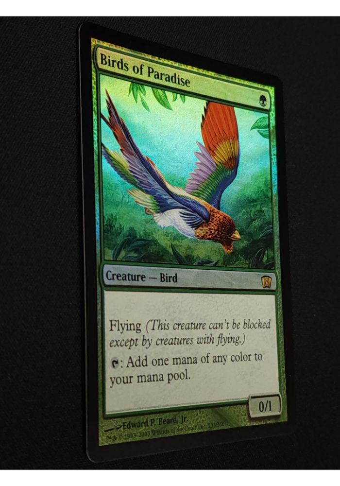 Birds of Paradise