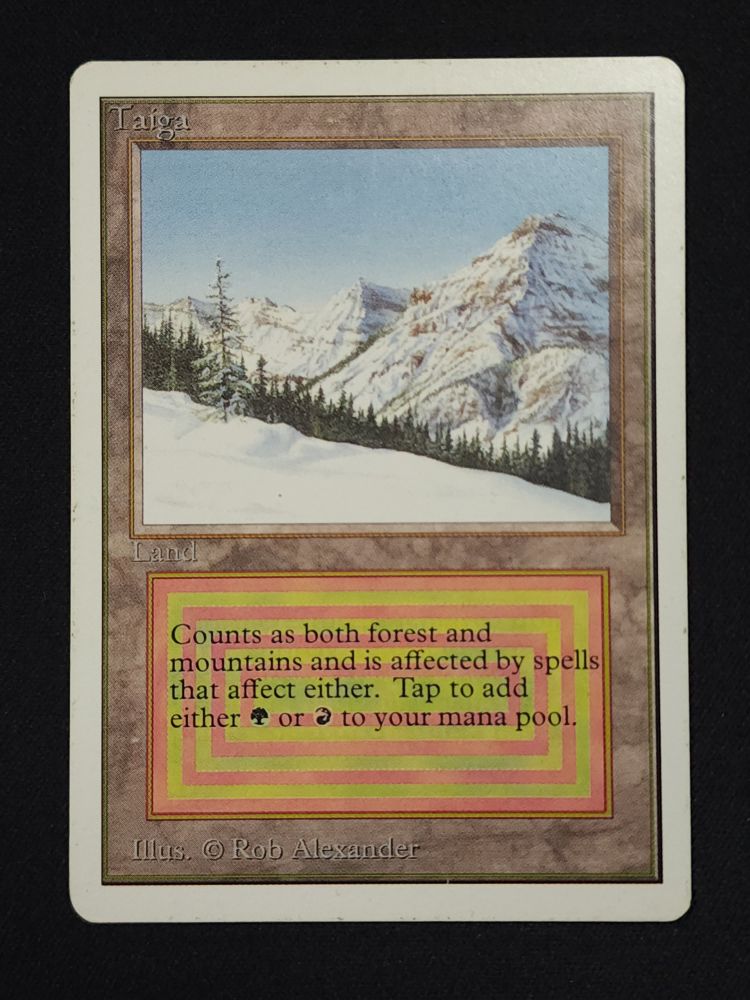Taiga