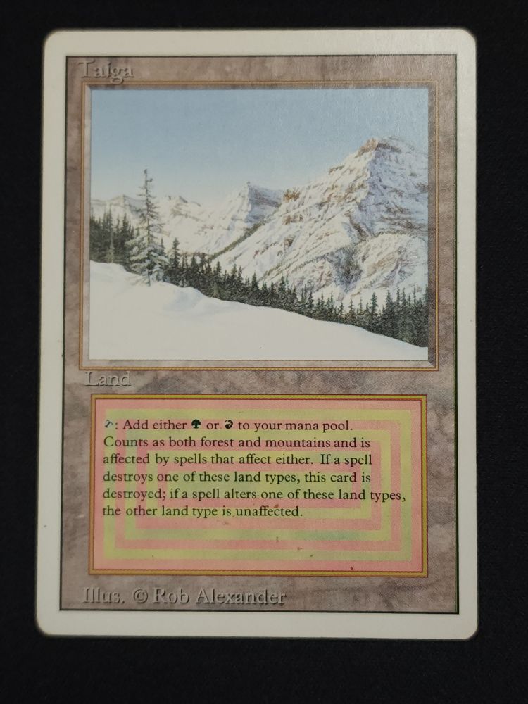 Taiga