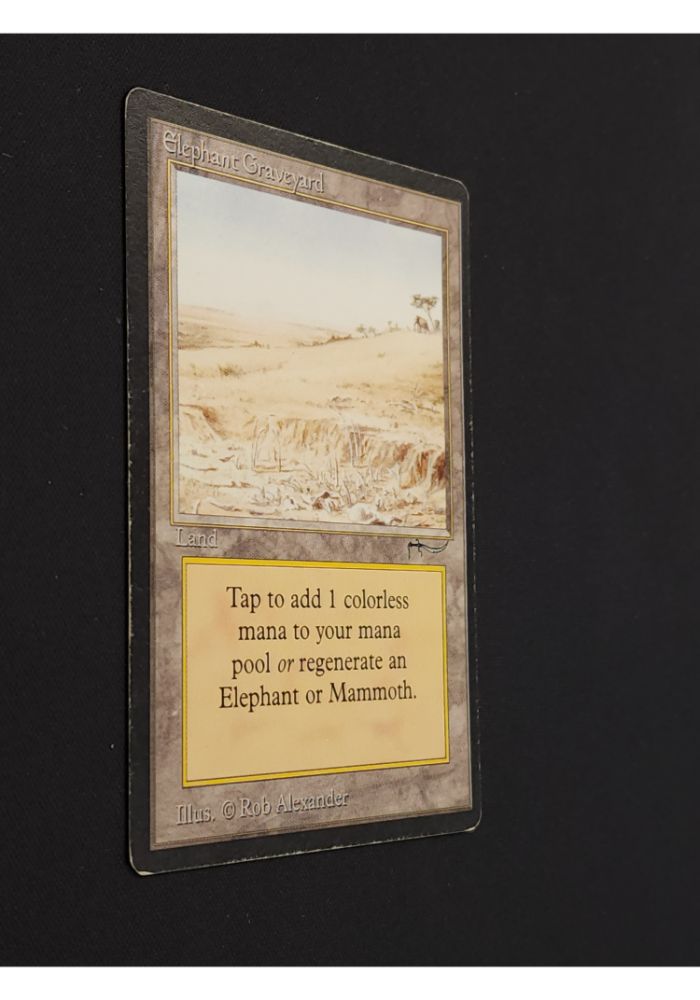 Elephant Graveyard