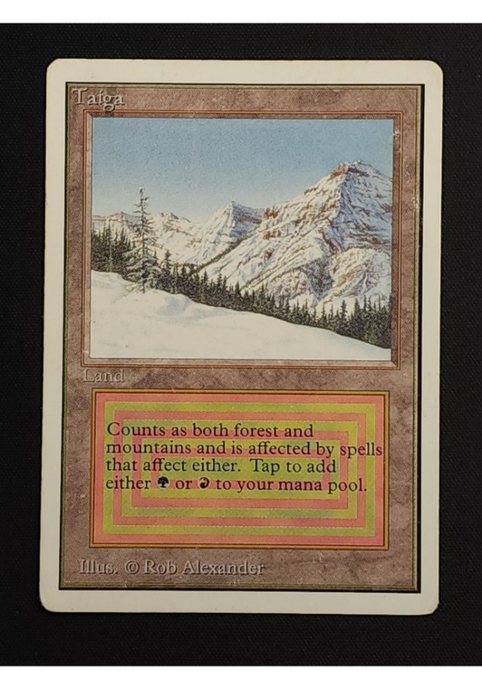 Taiga
