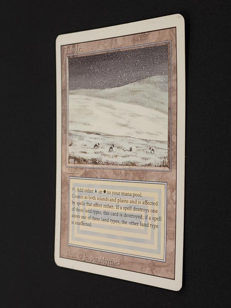 Tundra