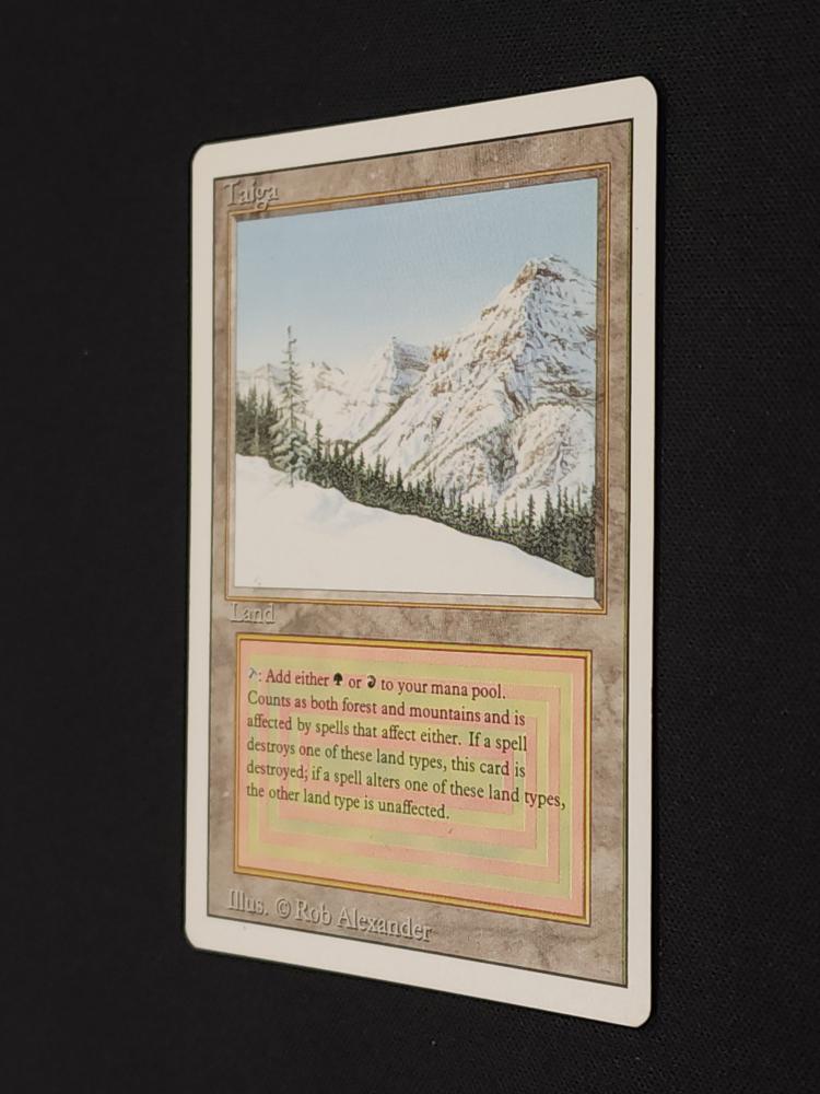 Taiga