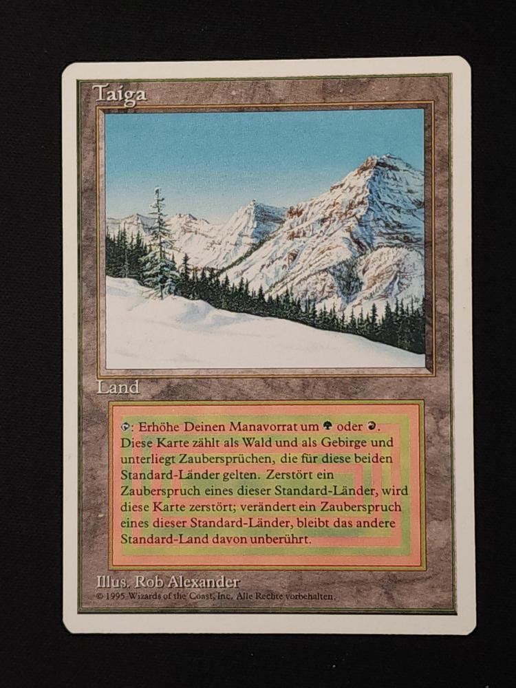 Taiga