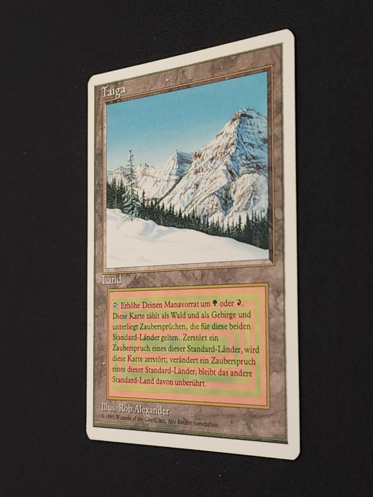 Taiga