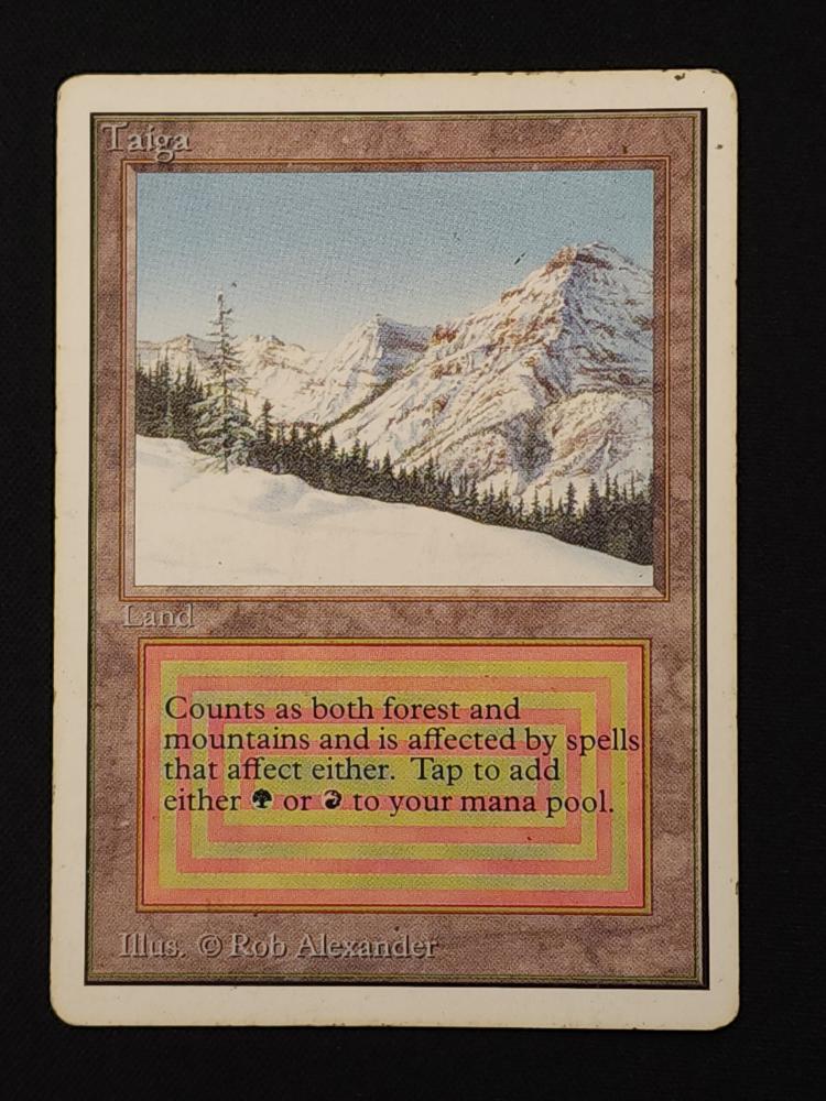 Taiga