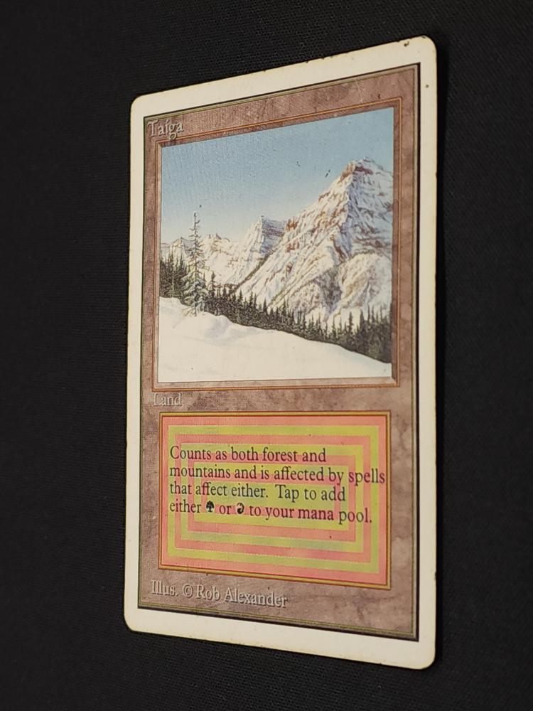 Taiga