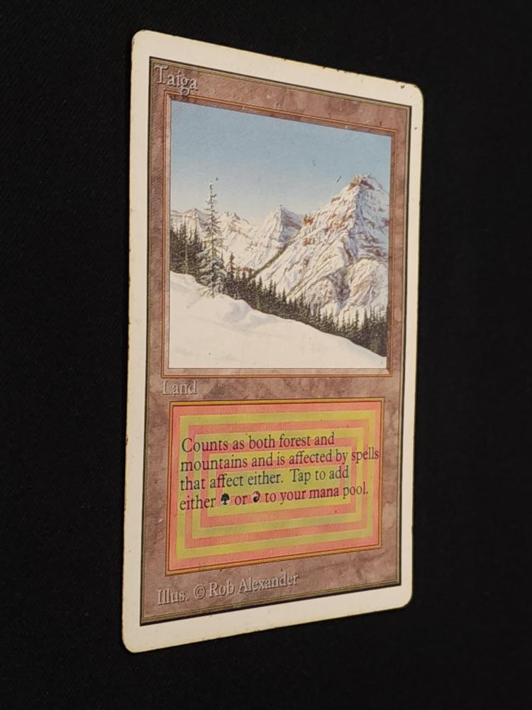 Taiga