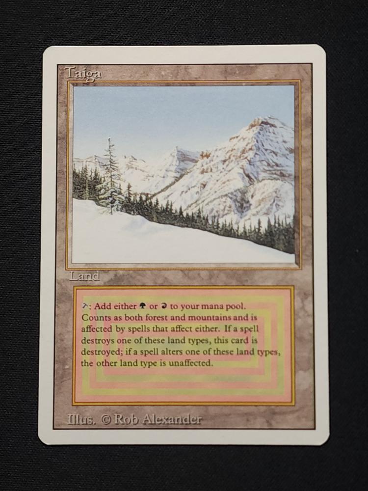 Taiga