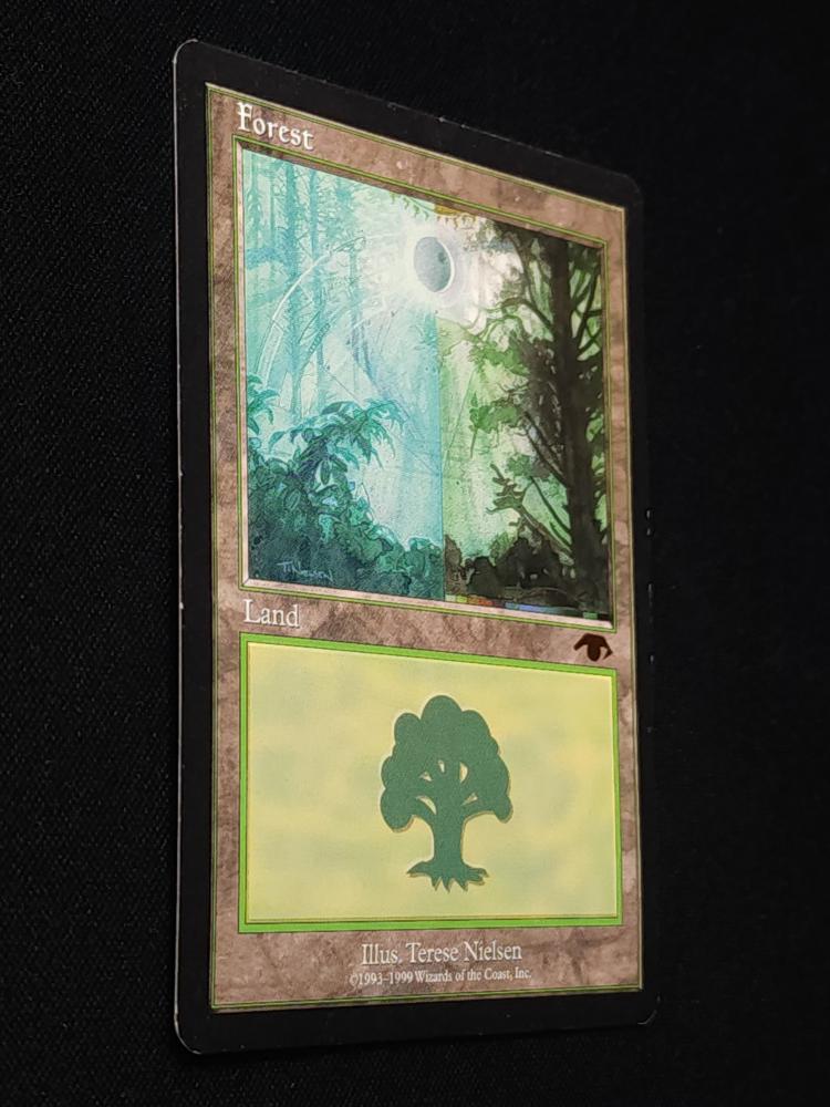 Forest