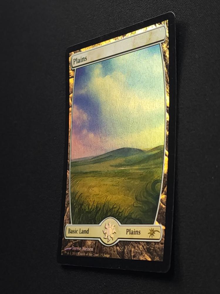 Plains // Crimp