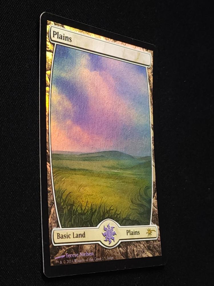 Plains // Crimp