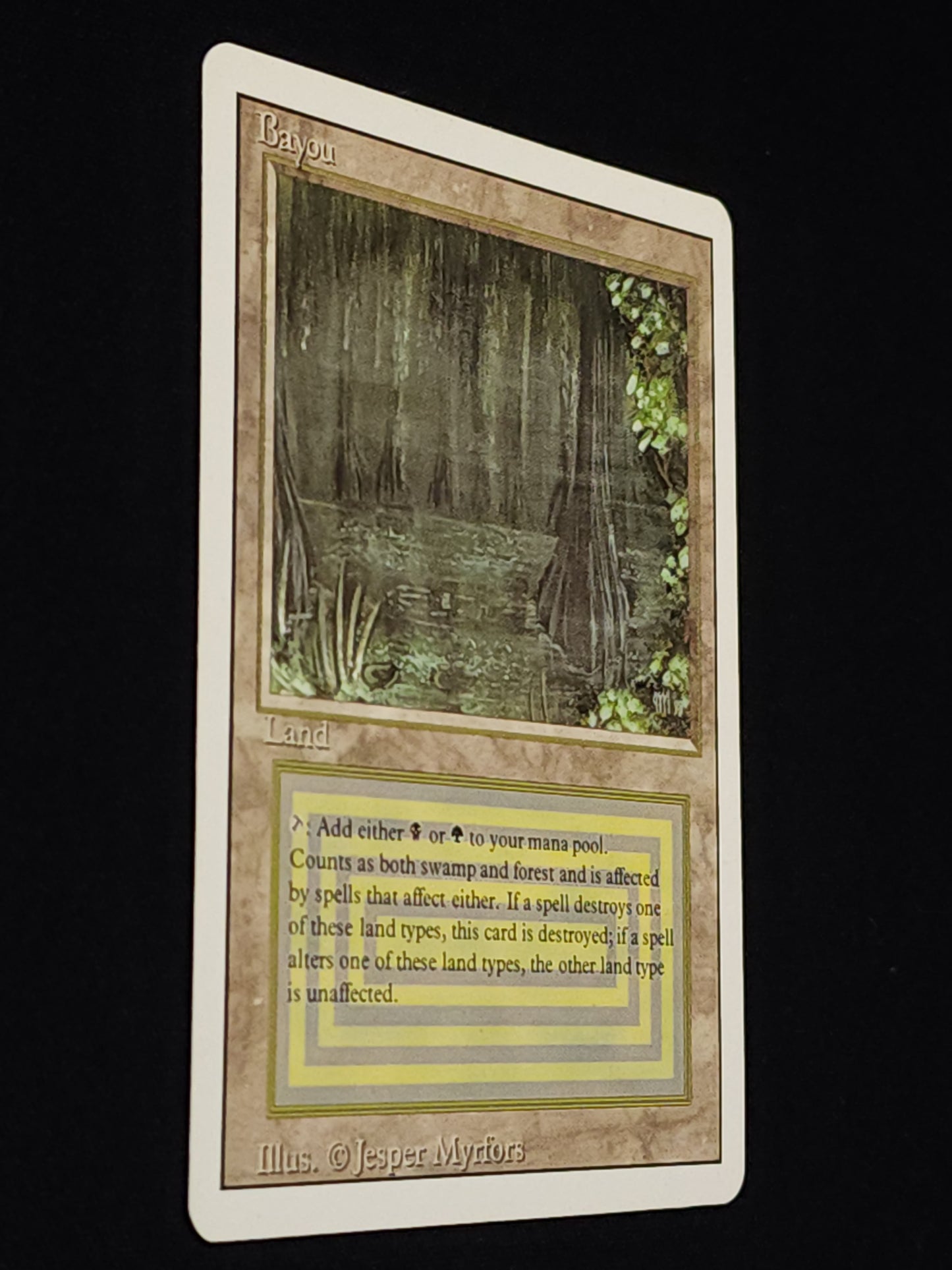 Bayou