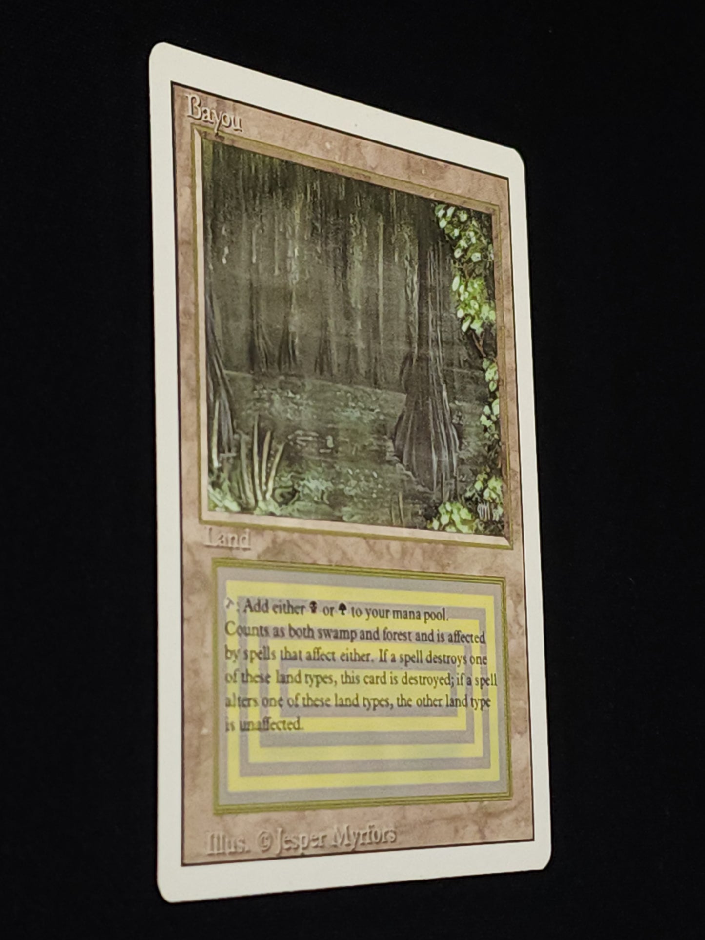 Bayou
