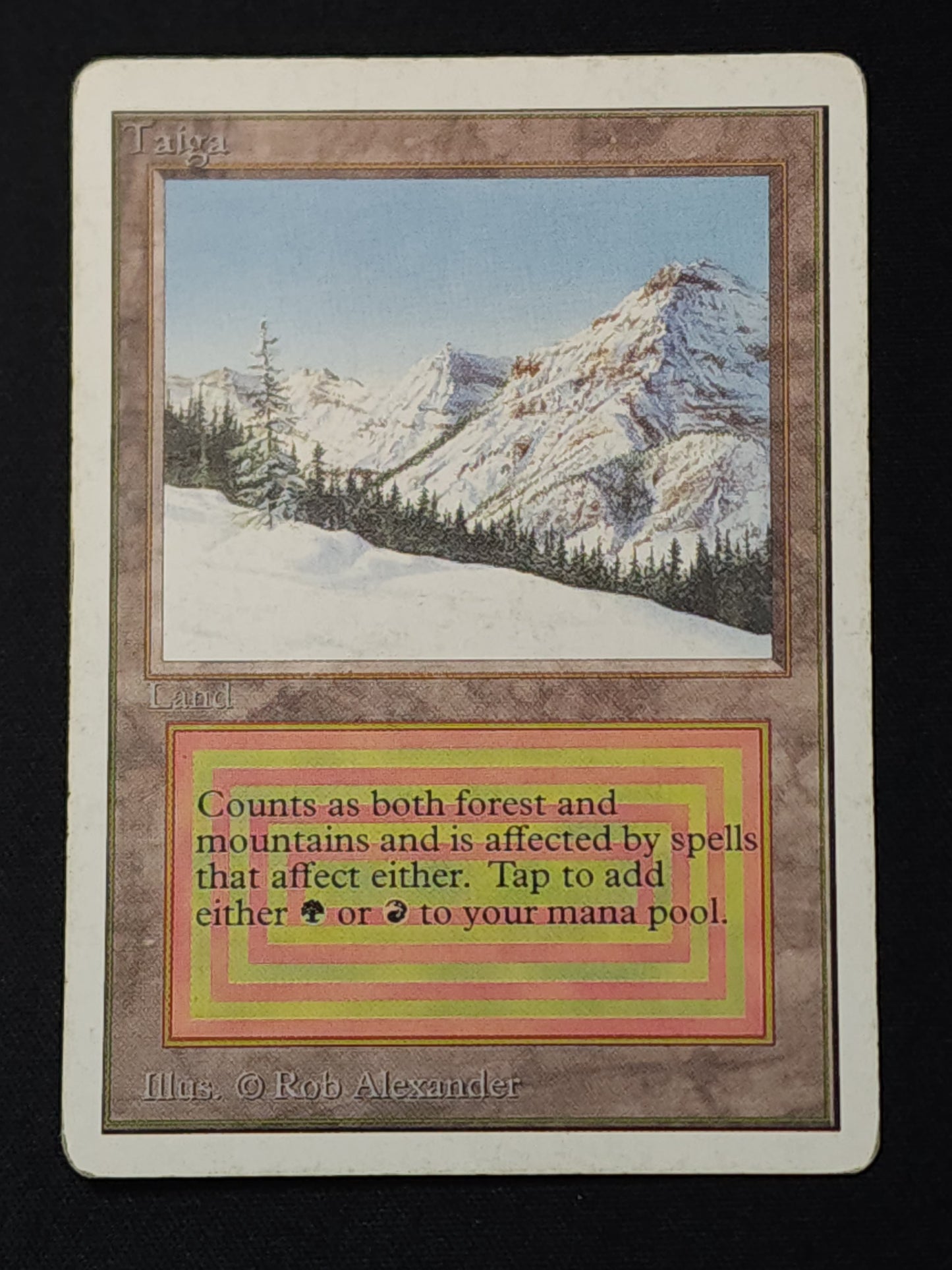 Taiga