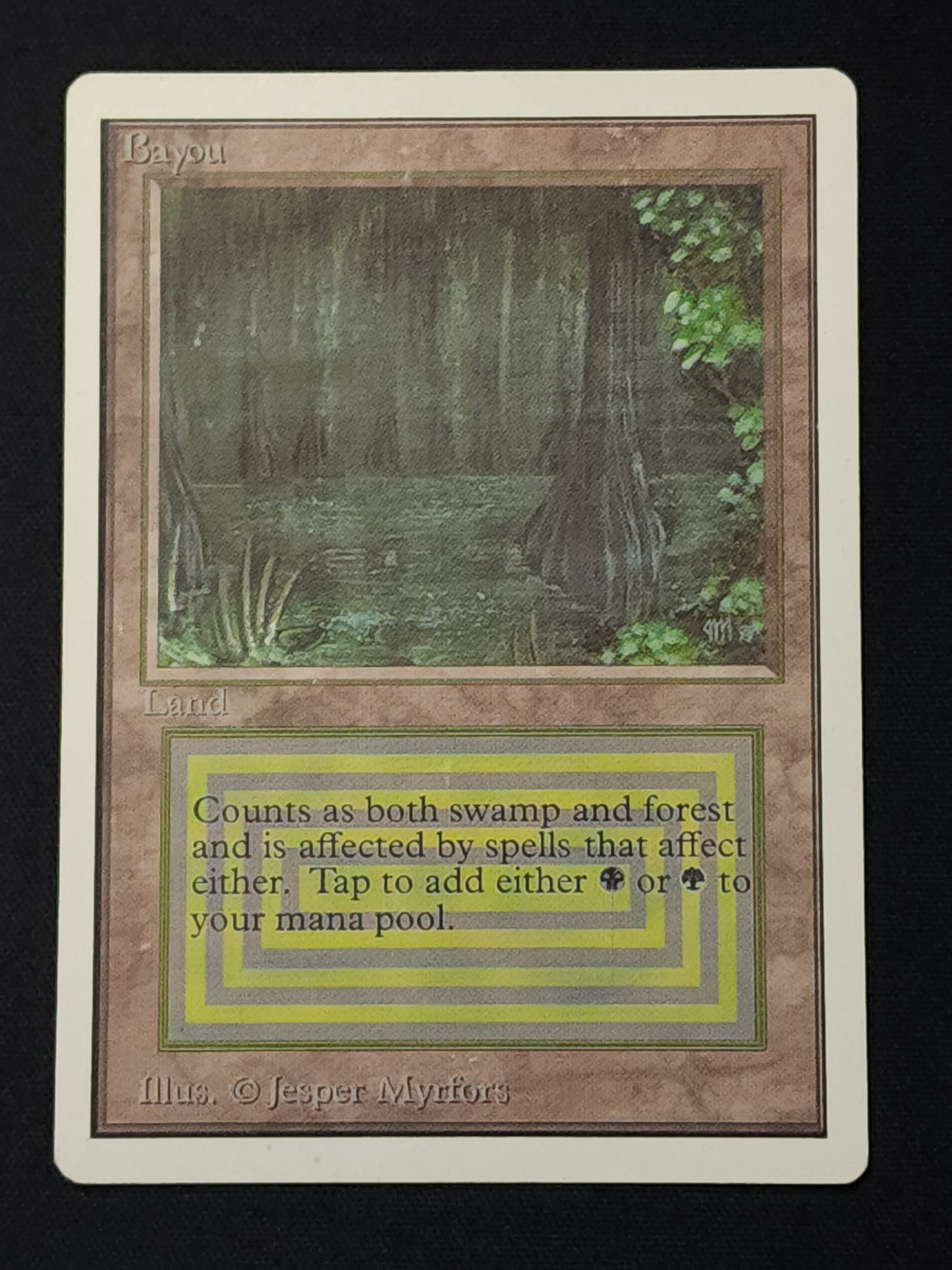 Bayou