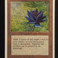 Black Lotus