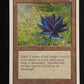 Black Lotus