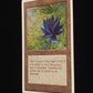 Black Lotus