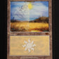 Plains