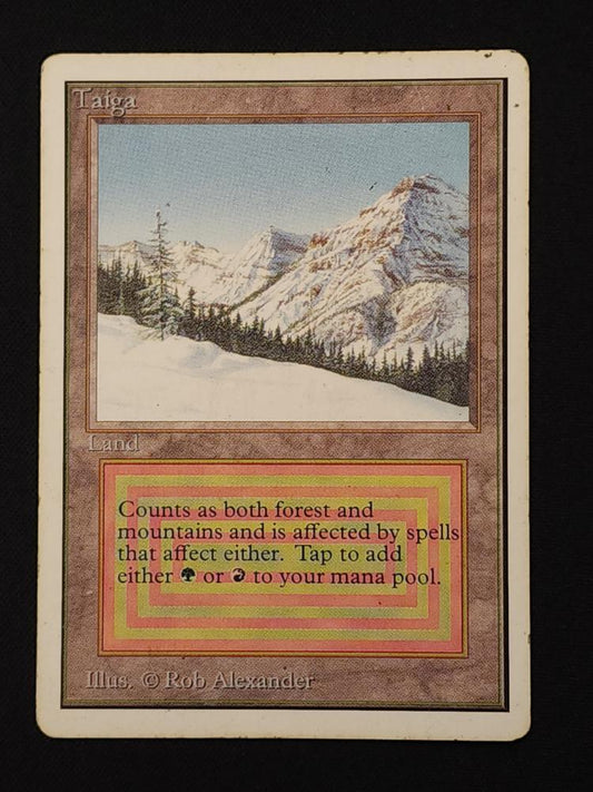 Taiga
