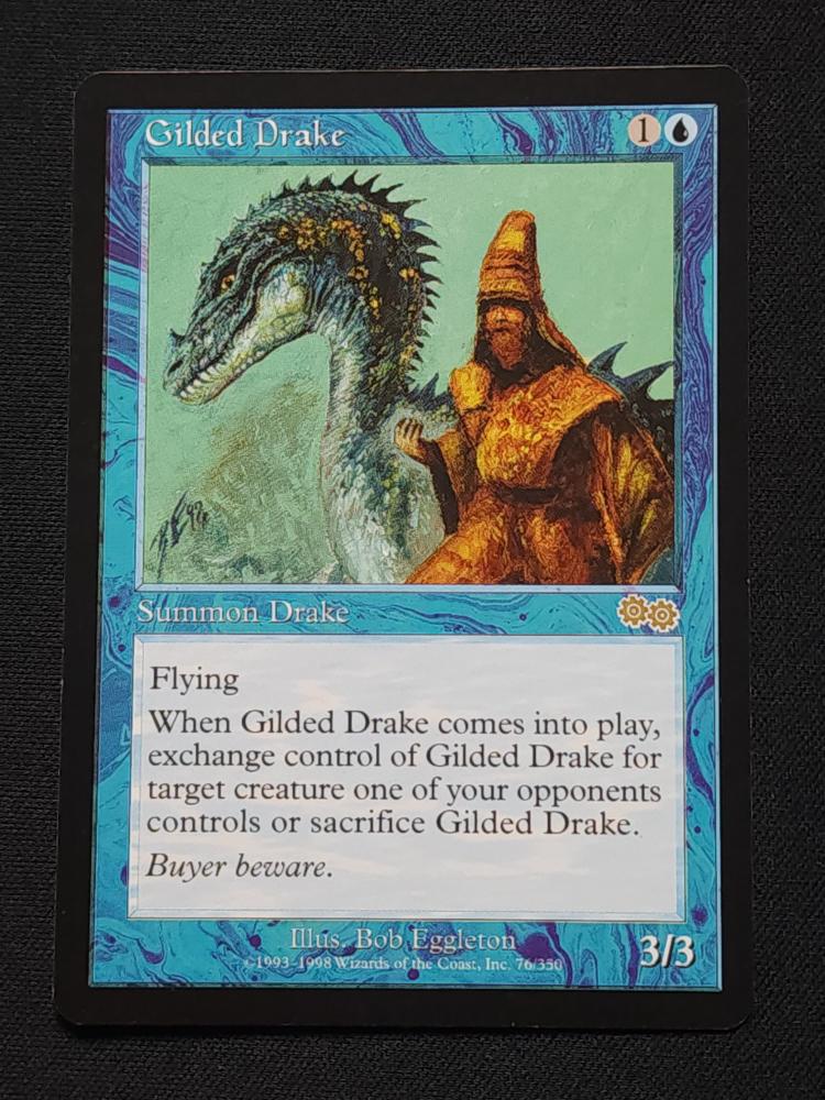Gilded Drake