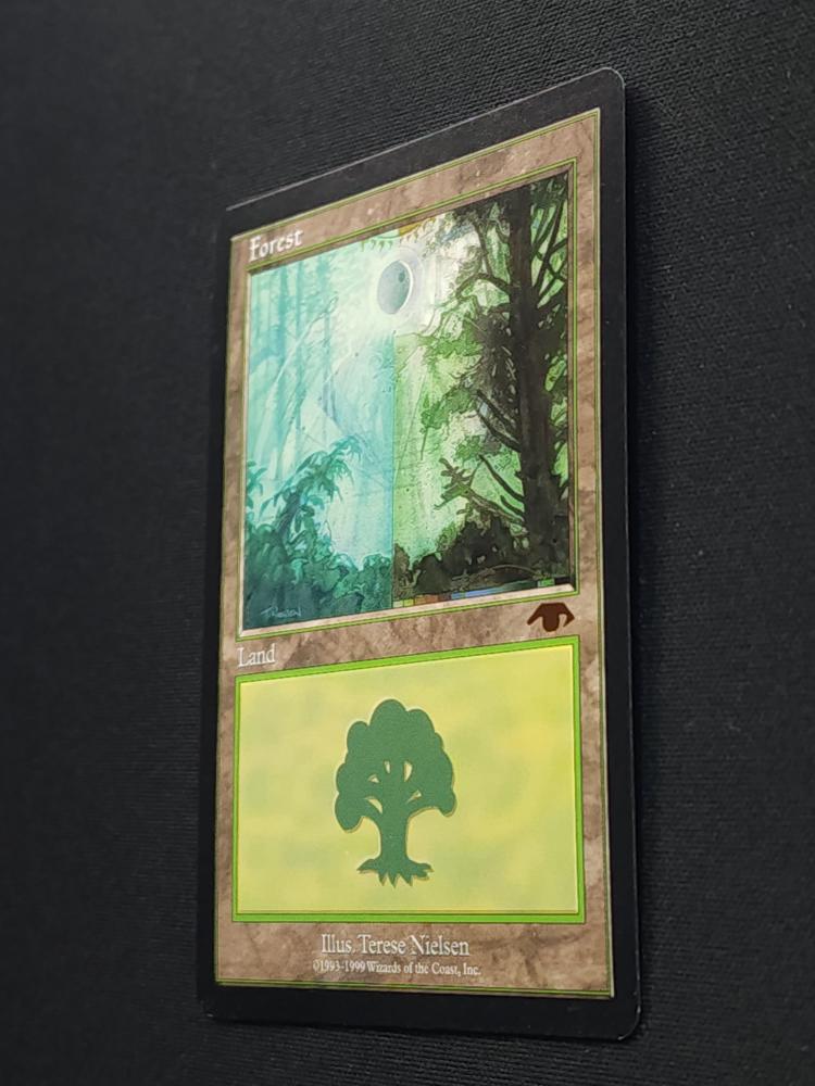Forest