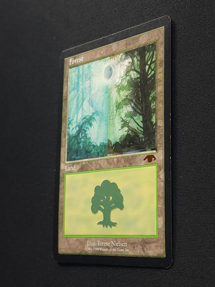 Forest
