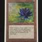 Black Lotus // INKED