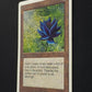 Black Lotus // INKED