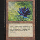 Black Lotus // INKED