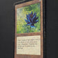 Black Lotus // INKED