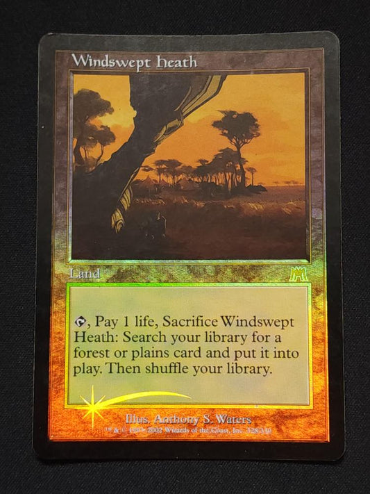 Windswept Heath