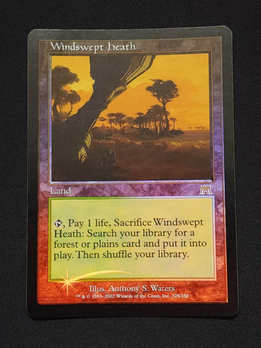 Windswept Heath