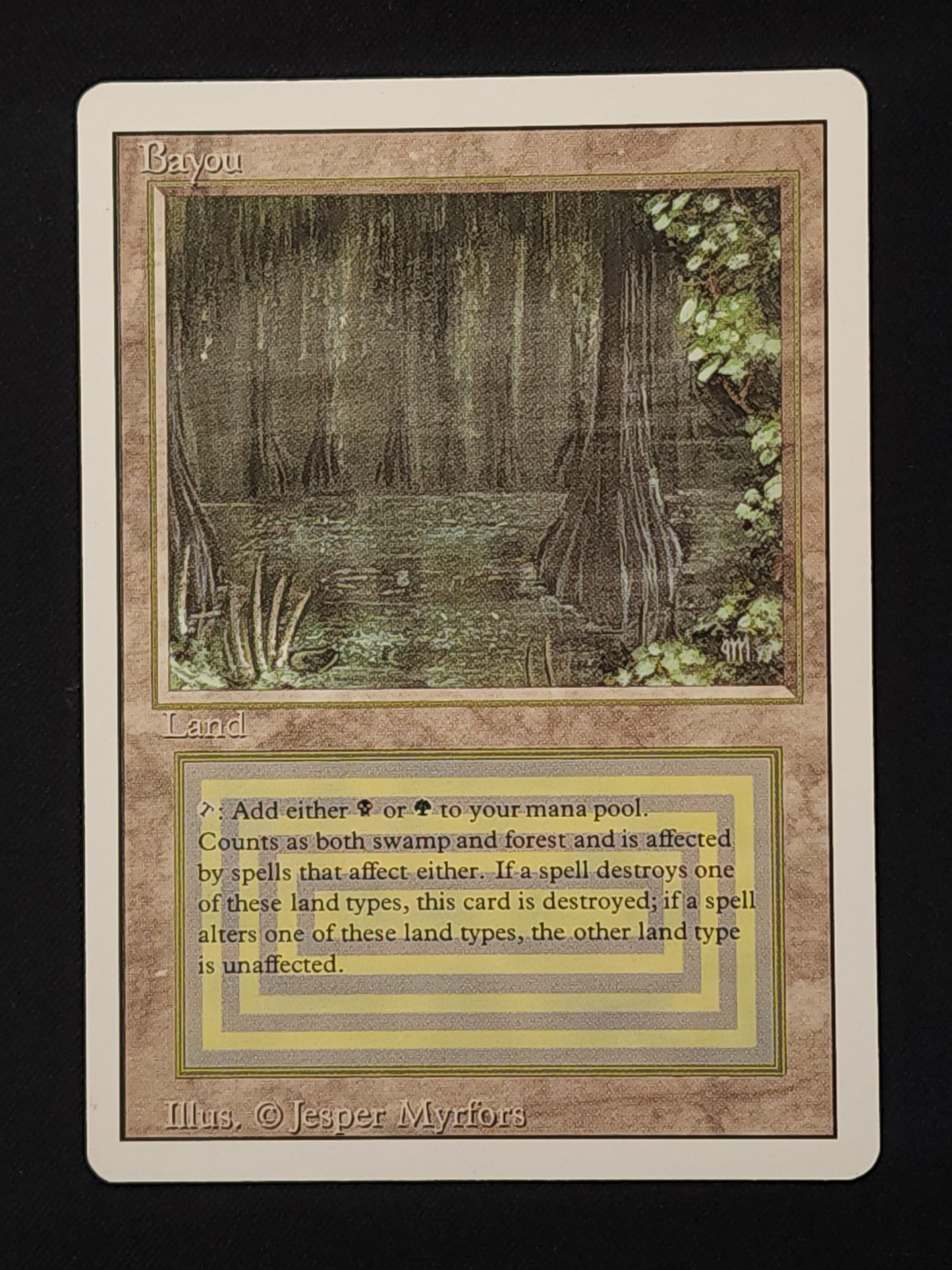 Bayou