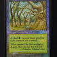 Gaea's Cradle