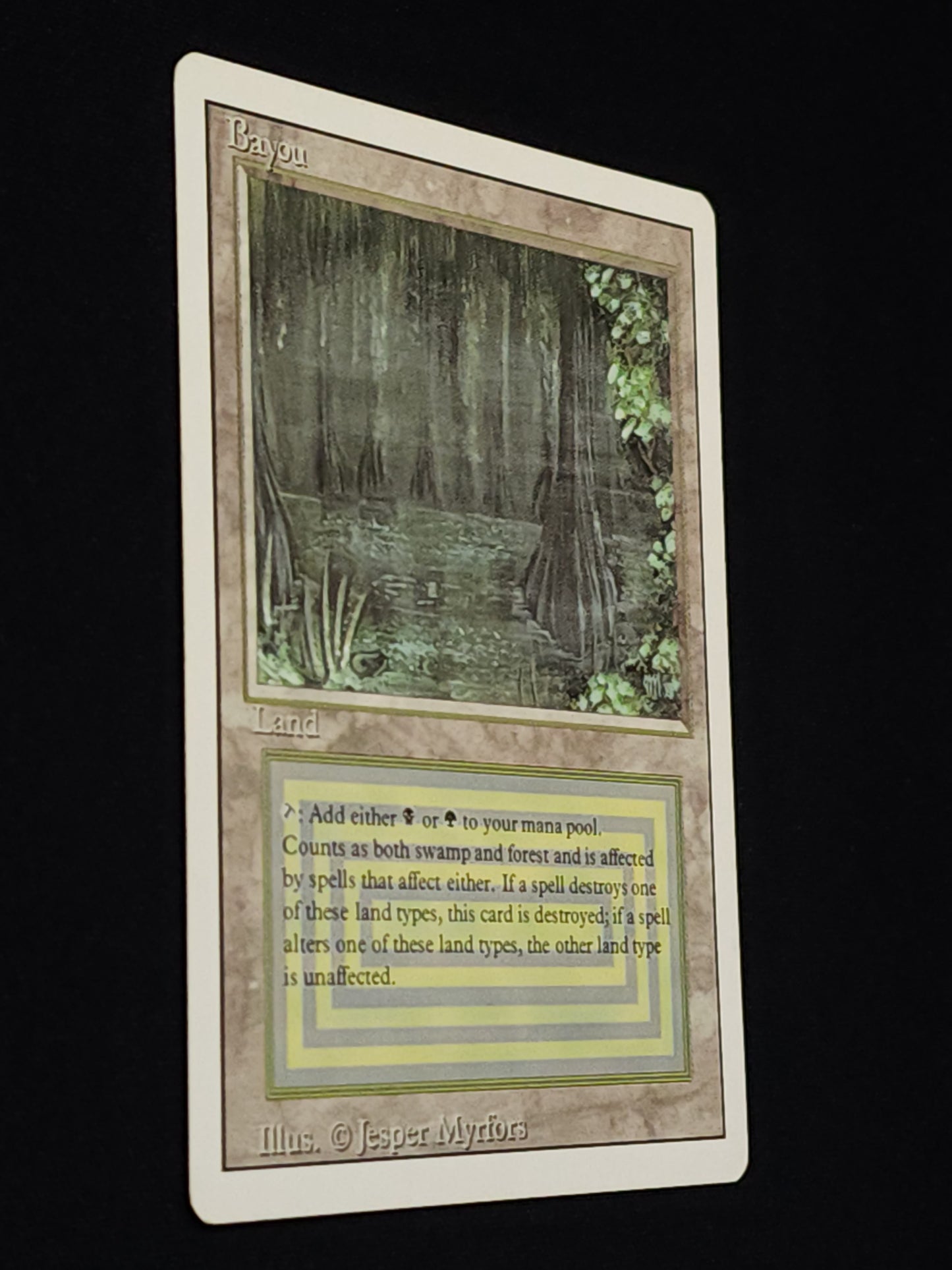 Bayou