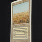 Scrubland
