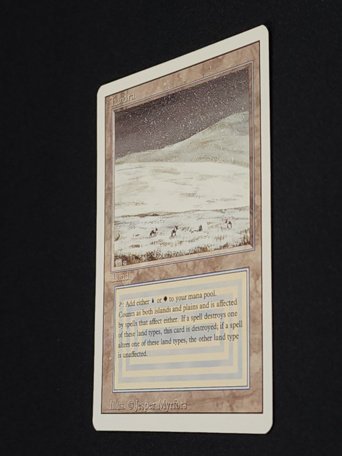 Tundra