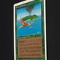 Birds of Paradise