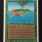 Birds of Paradise