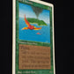 Birds of Paradise
