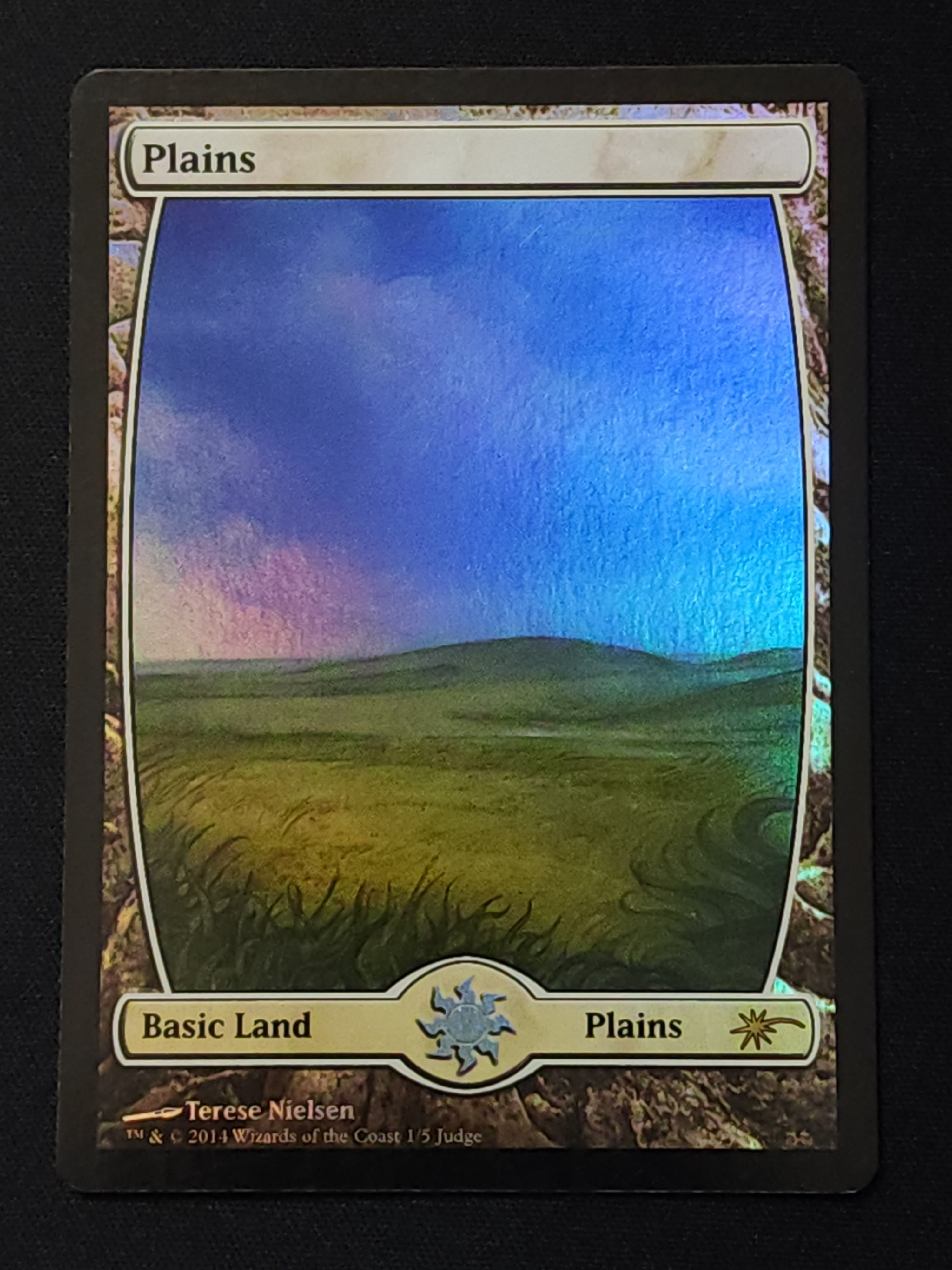 MTG 苦花 FOIL 英語版 初版 モーニングタイド ① MTG 英語版foil 擬態の原型質 - メルカリ